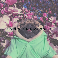 Spring Turnips Vol. 1