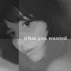What You Wanted