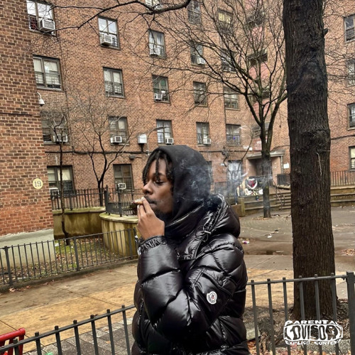 Woes - Website Scam (Remix) [Exclusive]