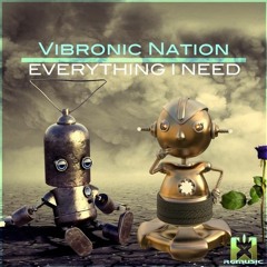 Vibronic Nation Ft Debbiah - Everything I Need (BRAMD Remix)