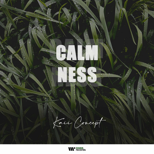 Kaii Concept - Calmness (Original Mix)