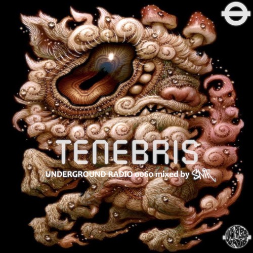 SNIR - UNDERSOUNDZ0060
