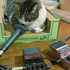 Loop Diggers MC 52 Funk Loopers 2 - G R U N G E _ C A T