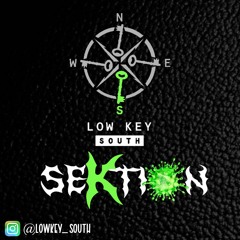 SEKTION - GUEST MIX 013 (JofE St.Paddy's Day Competition Entry Mix)
