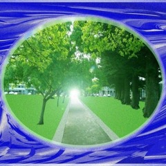 Want Peace )prod. KingsBeats & NoFuk(