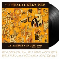 The Tragically Hip - In Between Evolution: Slight Return 2005 (a marginal remix)