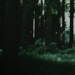 記憶の森(live ver.)