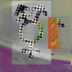 Put Cha Back In It (Arca Type Version)