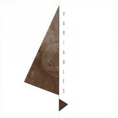 Variables (coffret Vinyles 2012 / Items & Things) Mixé Par Teppaz