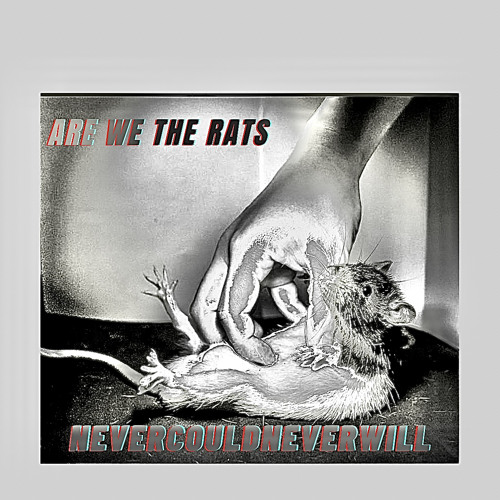 ARE WE THE RATS          no.1