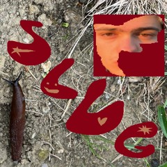 slug