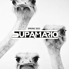 SUPAMARIO - SPRING 2023