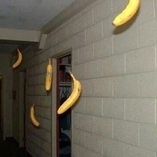 LONG FLIGHT - "MEGALOVANIA" for Flying Bananas.