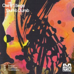 PREMIERE : Calm Stiege - Sweet Dreams