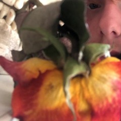 nichtmehr (prod.@ vtroxx)