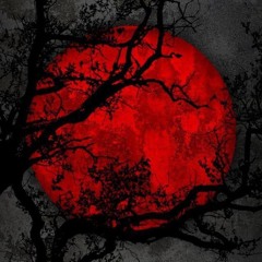 MAYOR  - Chris Cipher, Northwest & Rokkayjnr