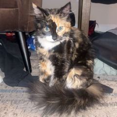 Flashy w/Blessed Boys