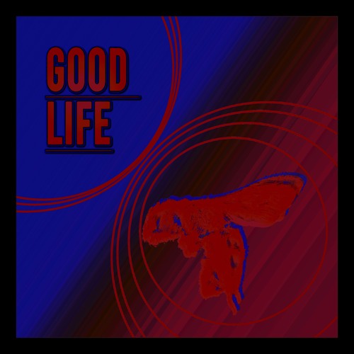 Good Life ( Harmonia At Night Remix )
