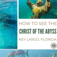 Best Christ Of The Abyss Snorkeling Trips Prices Reviews