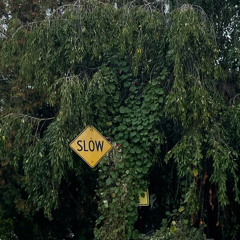 ten to one rough mix