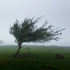 WIND Sound effect