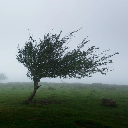 WIND Sound effect