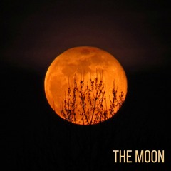 The Moon