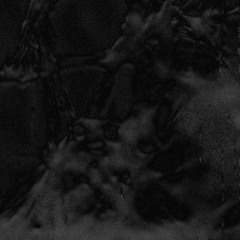 Stagnant Corpse - Swarm