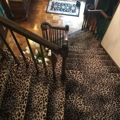 stranger             @vade!