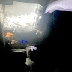 catchus/all[@prod.faint+@hndr_x0]