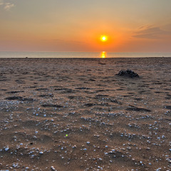 beaches sunlight