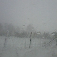 Pièces Froides- Airs à faire fuir, n°1 (Erik Satie Cover)