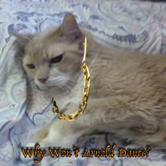 Why Won't Arnold Dance? Live Mix 51725
