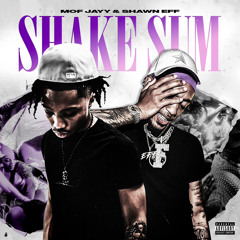 Shake Sum ft. Shawn Eff