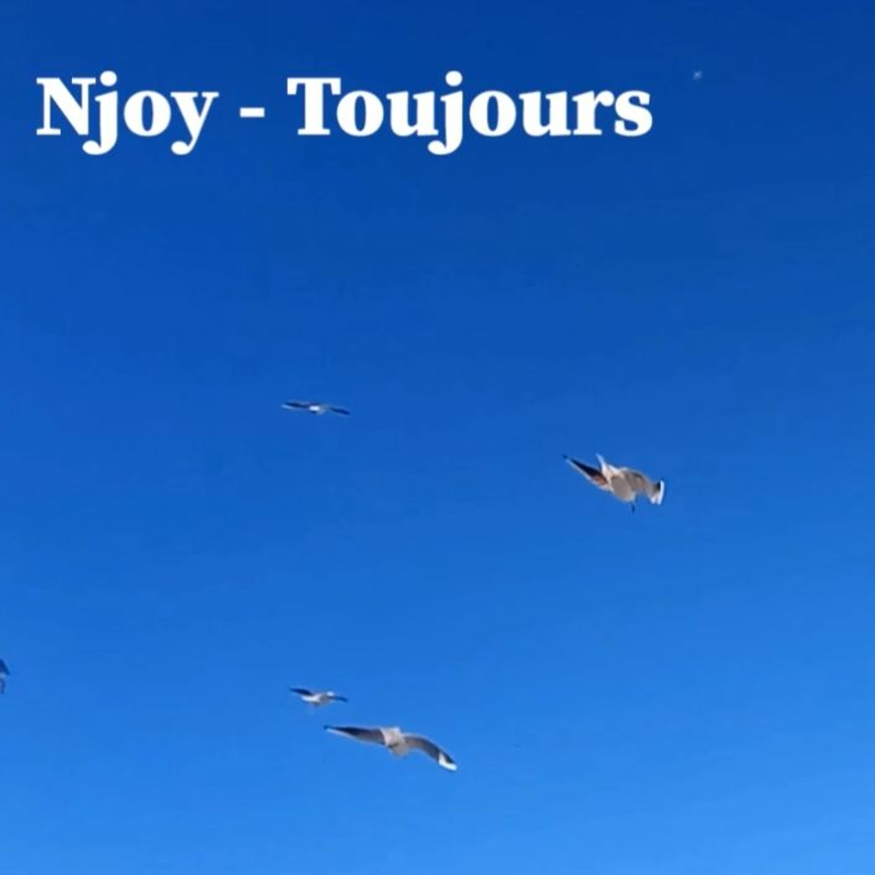 Njoy music