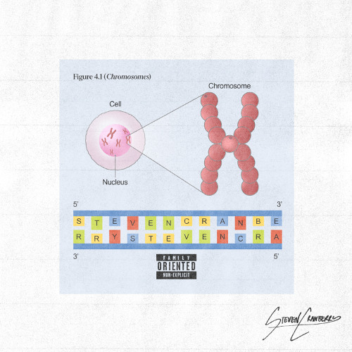 CHROMOSOMES