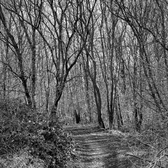 Shift Your Focus (Alternate Version)