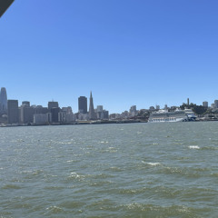 Db, I want be happy, Wine and Roses