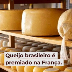 Queijo brasileiro é premiado na França