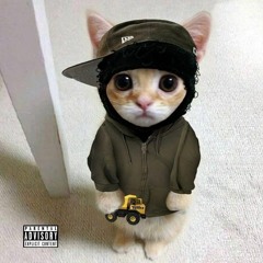 Vampire [prod. squirlbeats & sheepy]