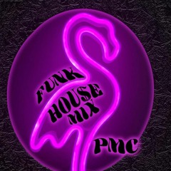 PMC - FUNK HOU$E