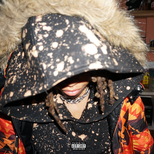 Brand new ft rexv2 (snowwy)