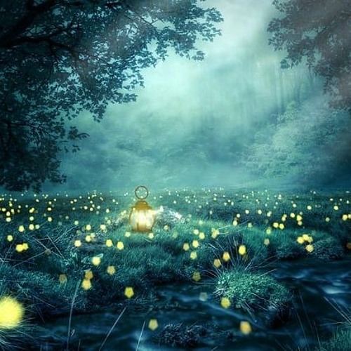 Where The Fireflies Shine