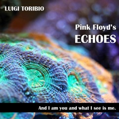 Echoes - Pink Floyd (COVER)