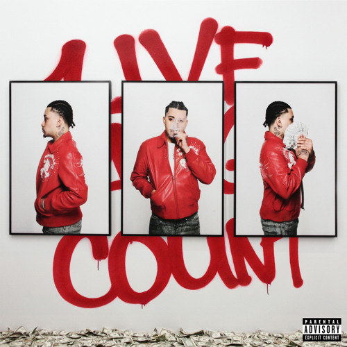Count (Bhristo Bugz Ronin)