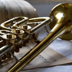 Callejón Del Jazz Antiguo