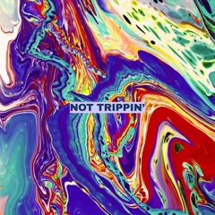 NOT TRIPPIN’