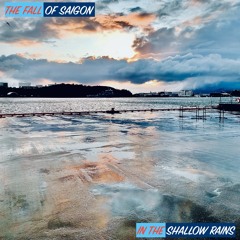 In The Shallow Rains