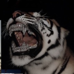 Hurricane Wisdom - Too Much Remix.m4a