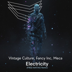 Vintage Culture, Fancy Inc, Meca - Electricity (Fred Matias Bootleg Mix)